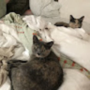 Meet your Posher, Penelope